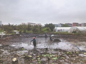 新余河道鱼塘清淤